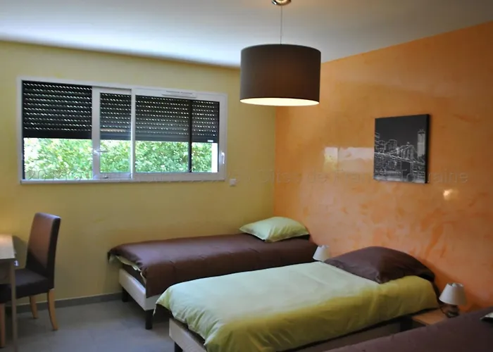 Prázdninový dům Grande Maison Moderne Avec Piscine A Tours, Proche Du Centre-ville Et De La Loire A Velo - Fr-1-381-231